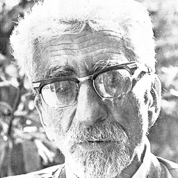 Portrait of Mohammad Parvin Gonabadi