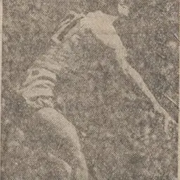 Portrait of Jo Teunissen-Waalboer
