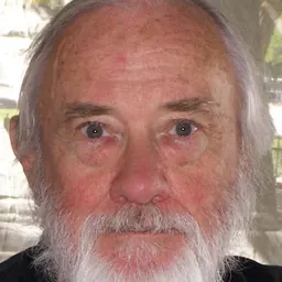 Portrait of Robert Stone