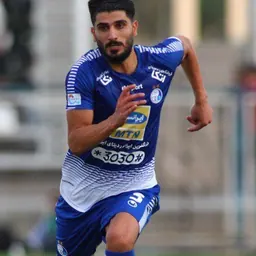 Portrait of Milad Zakipour