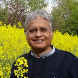 Portrait of Vinod Chohan