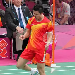 Portrait of Cai Yun