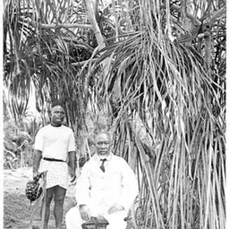 Portrait of Aweida