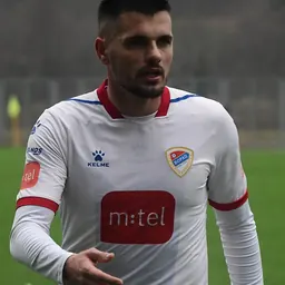 Portrait of Goran Zakarić