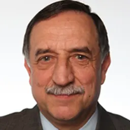 Portrait of Domenico Rossi