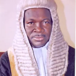 Portrait of Mike Ozekhome
