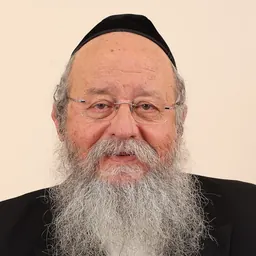 Portrait of Eliezer Moses