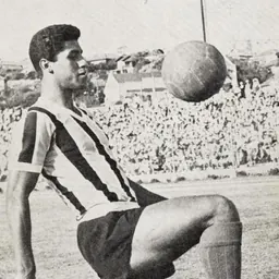 Portrait of Airton Pavilhão