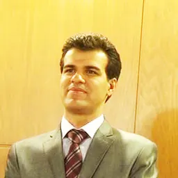 Portrait of Sadjad Pourghanad