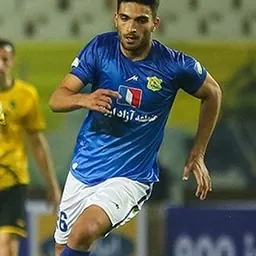 Portrait of Omid Hamedifar
