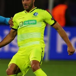Portrait of Laurent Depoitre