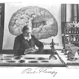Portrait of Paul Emil Flechsig