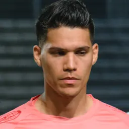 Portrait of Michael Falkesgaard