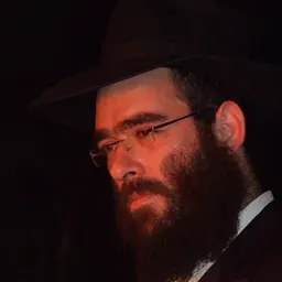 Portrait of Arie Zeev Raskin