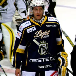 Portrait of Ari Gröndahl