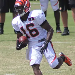 Portrait of Andrew Hawkins