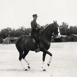 Portrait of Gérard de Balorre