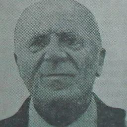 Portrait of Ștefan Odobleja