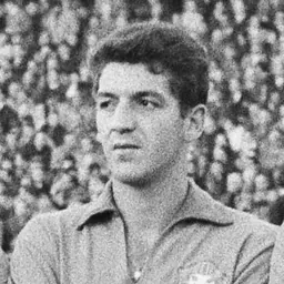 Portrait of Roberto Dias