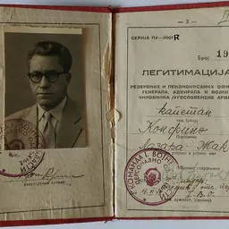 Portrait of Žak Konfino