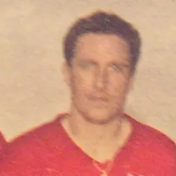 Portrait of Guglielmo Trevisan