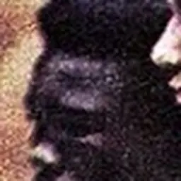 Portrait of Isaac Ikhouria