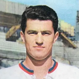 Portrait of Sergio Codognato