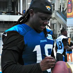 Portrait of Denard Robinson