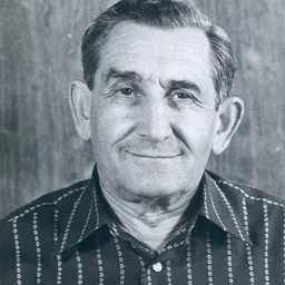 Portrait of David Stern