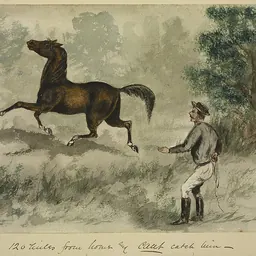 Portrait of H. Bullock Webster