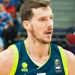 Portrait of Goran Dragić
