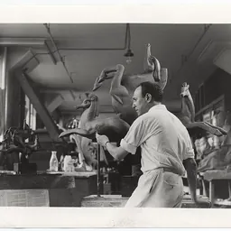 Portrait of Willard Hirsch