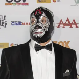 Portrait of Mil Máscaras