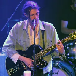 Portrait of Hozier