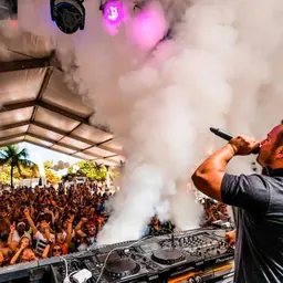 Portrait of Starkillers