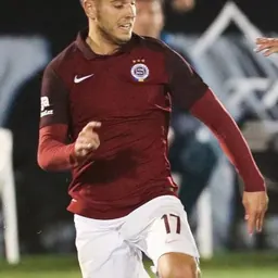 Portrait of Aleš Čermák