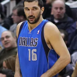 Portrait of Peja Stojaković
