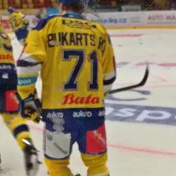 Portrait of Roberts Bukarts