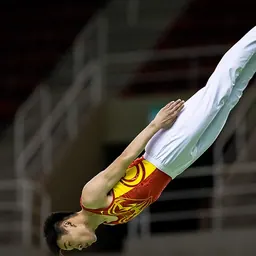 Portrait of Gao Lei