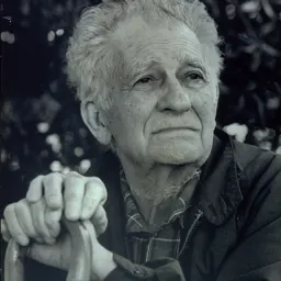 Portrait of Zvi Brenner