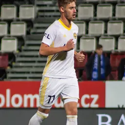 Portrait of Filip Štěpánek