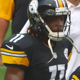Portrait of Markus Wheaton