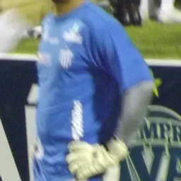 Portrait of Diego Salgado Costa de Menezes