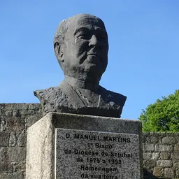 Portrait of Manuel da Silva Martins