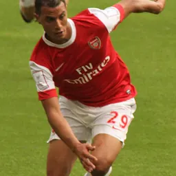 Portrait of Marouane Chamakh
