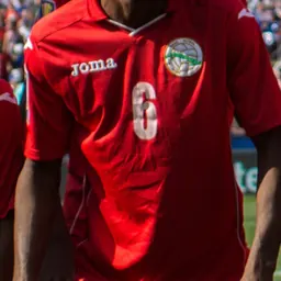 Portrait of Yaisnier Nápoles
