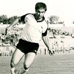 Portrait of Gholam Hossein Peyrovani