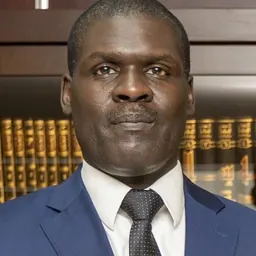 Portrait of Nasredeen Abdulbari