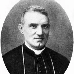 Portrait of Gaetano de Lai