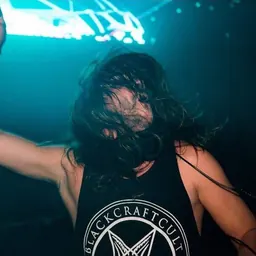 Portrait of Seven Lions